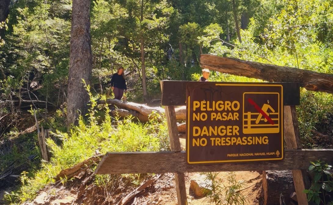 Bariloche: aseguran haber visto y filmado a un duende en la zona